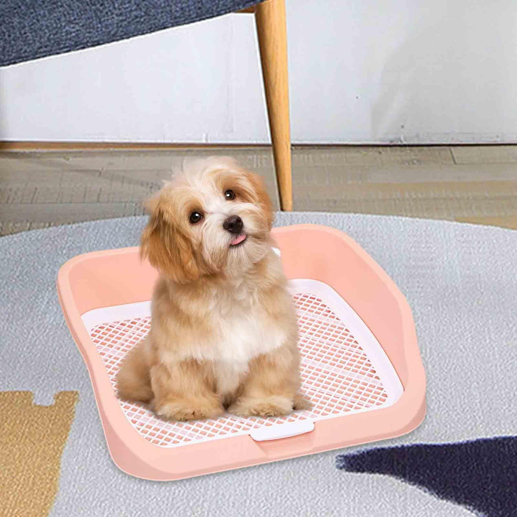 Pet Toilet Training Holder with Dog Potty Pad A35294