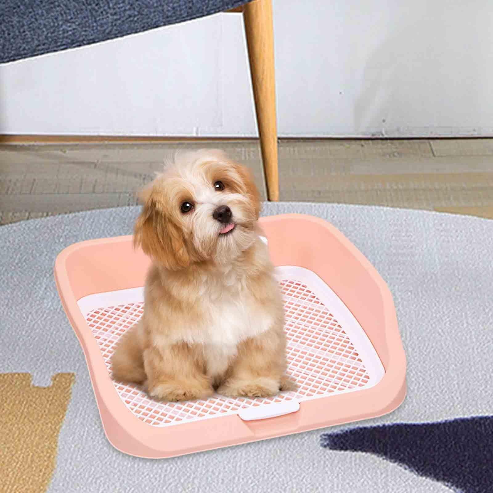 Pet Toilet Training Holder with Dog Potty Pad A35294