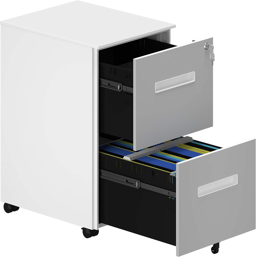 2-Drawer Mobile File Cabinet with Lock, Metal, Black A30976