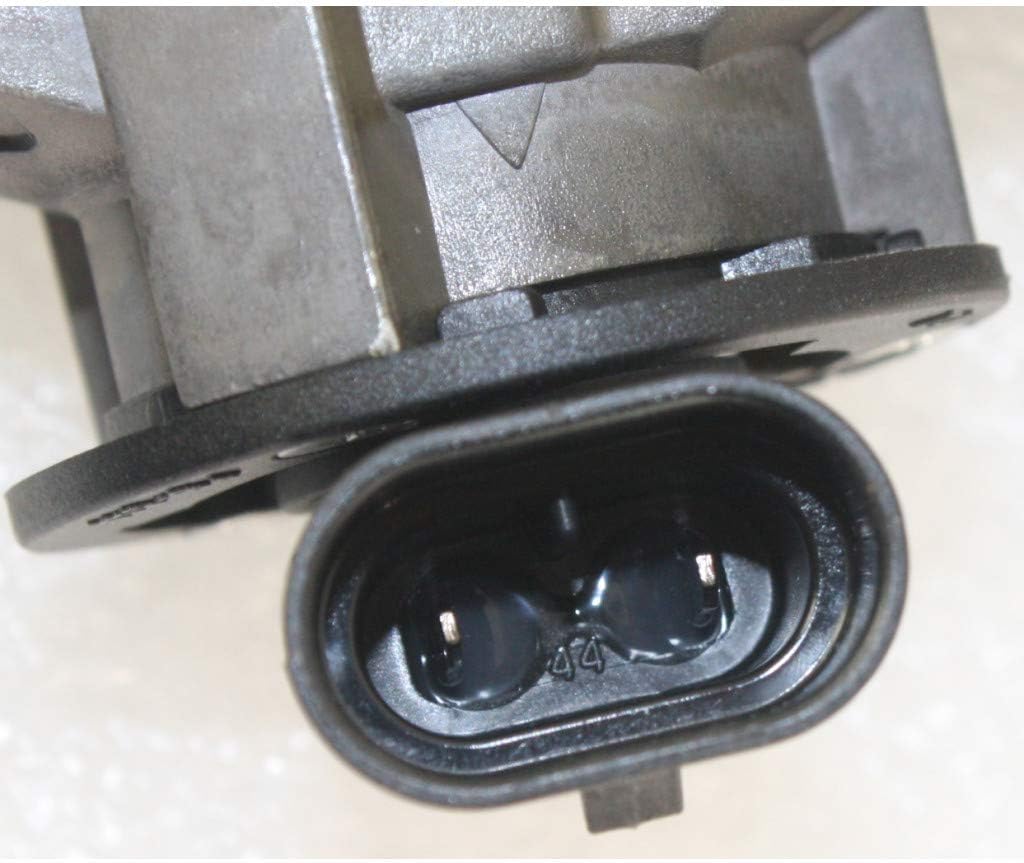Fog Light Assembly Pair with Bulbs R444966