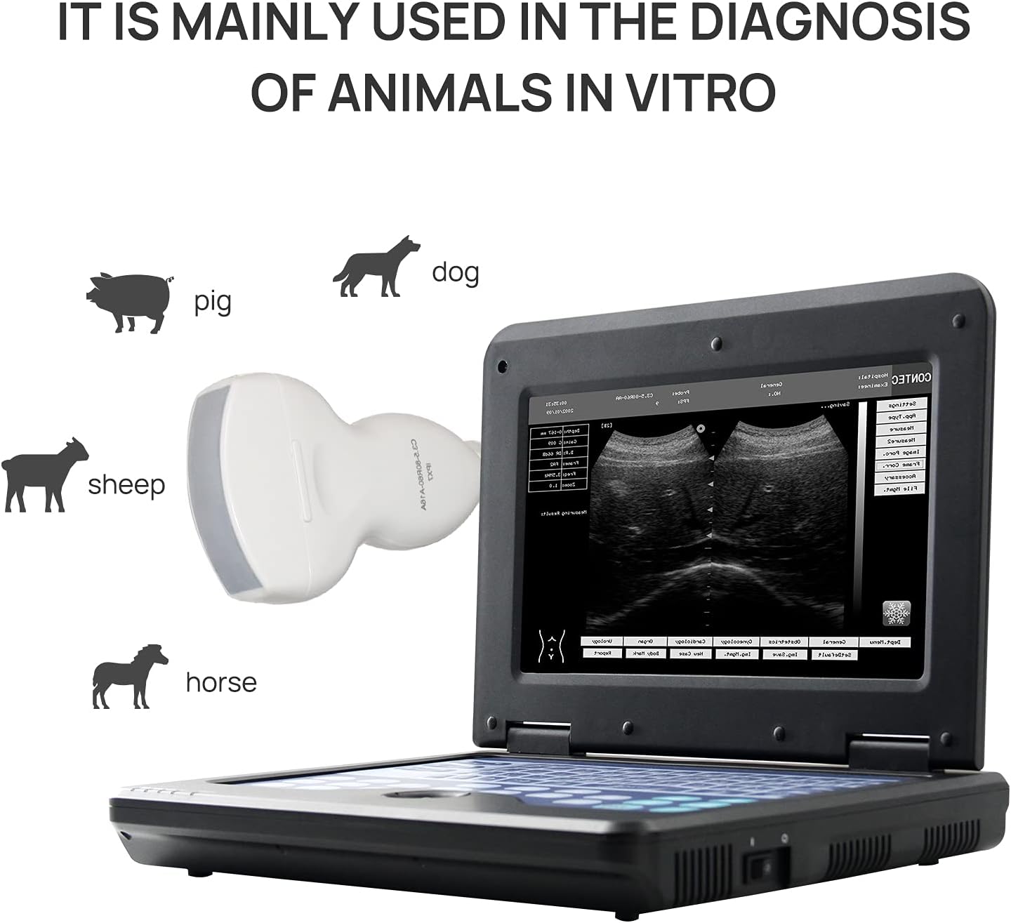 Veterinary Ultrasound Scanner with Convex and Rectal Linear Probe V8838