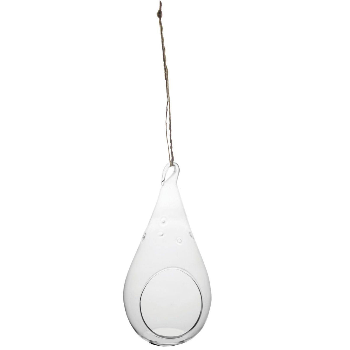 Teardrop Hanging Terrarium X800