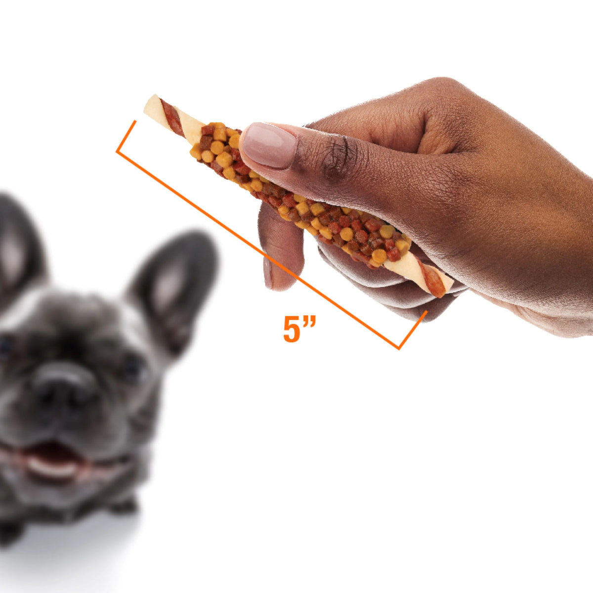 Triple Flavor Dog Chews, 12 oz X193277