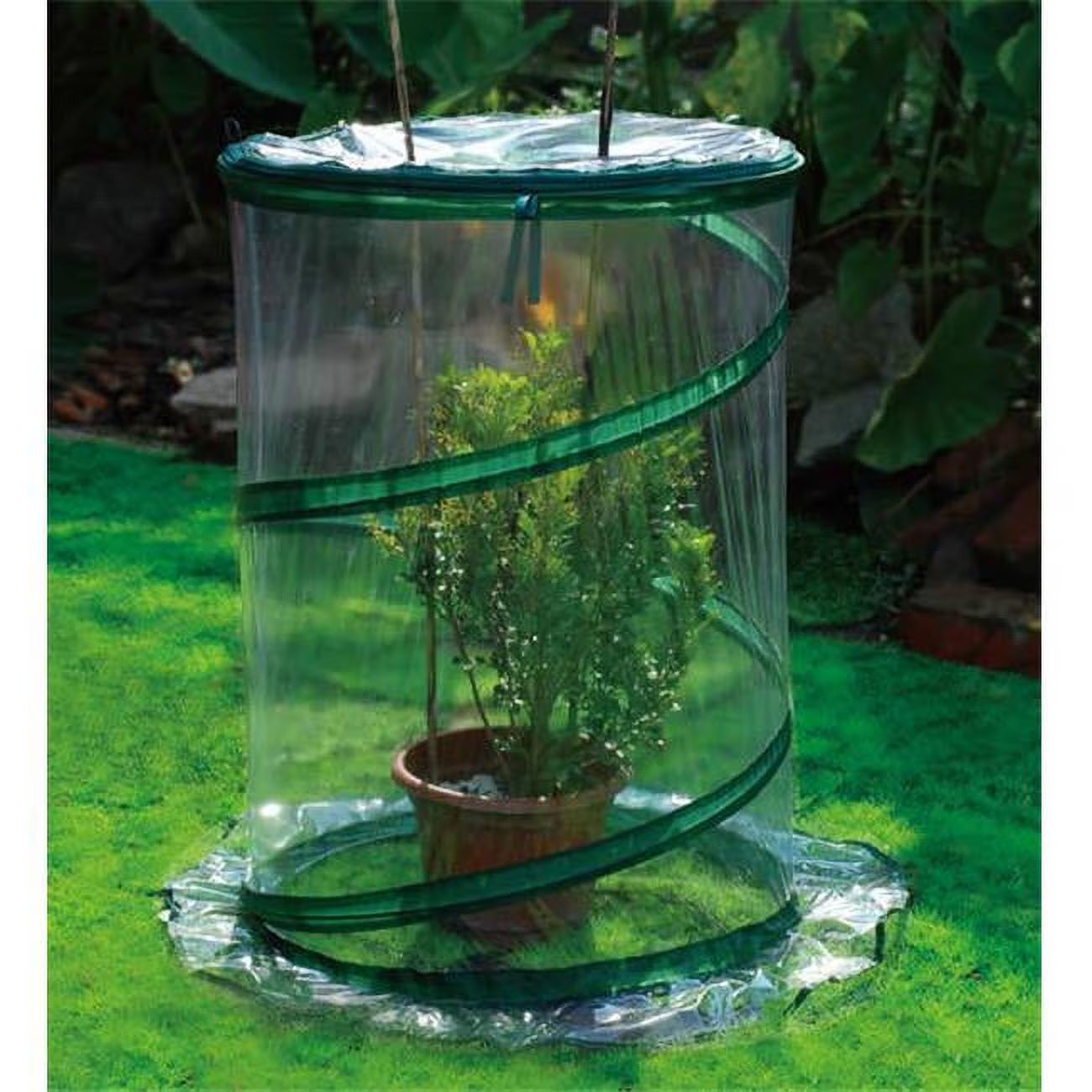Pop-Up Greenhouse Small, Box of 10 S332