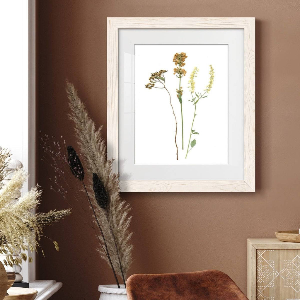 Walnut Framed Print B35164
