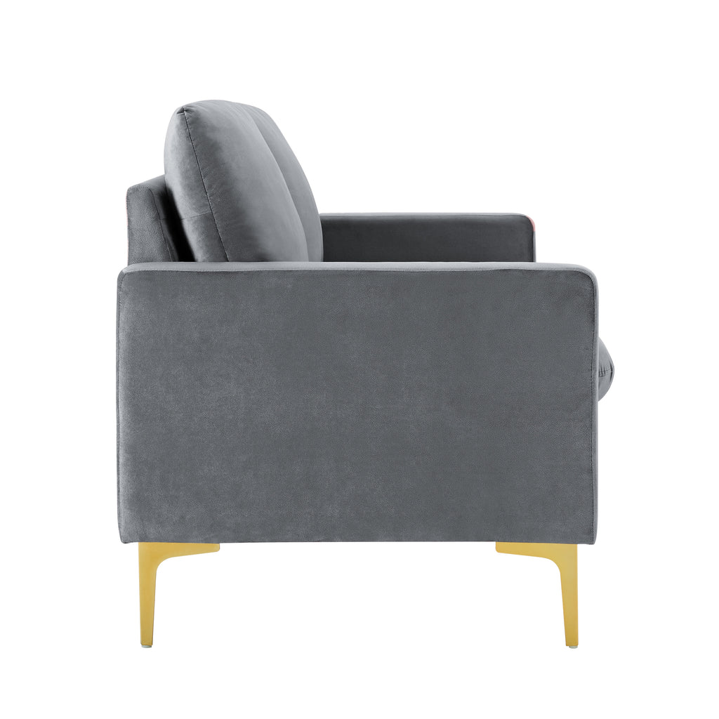 Grey Velvet Loveseat Sofa with Gold Metal Legs R28765