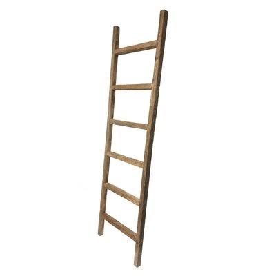 Gray Wood Ladder Bookcase 6 Shelves J586