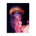 Canvas Art B98723