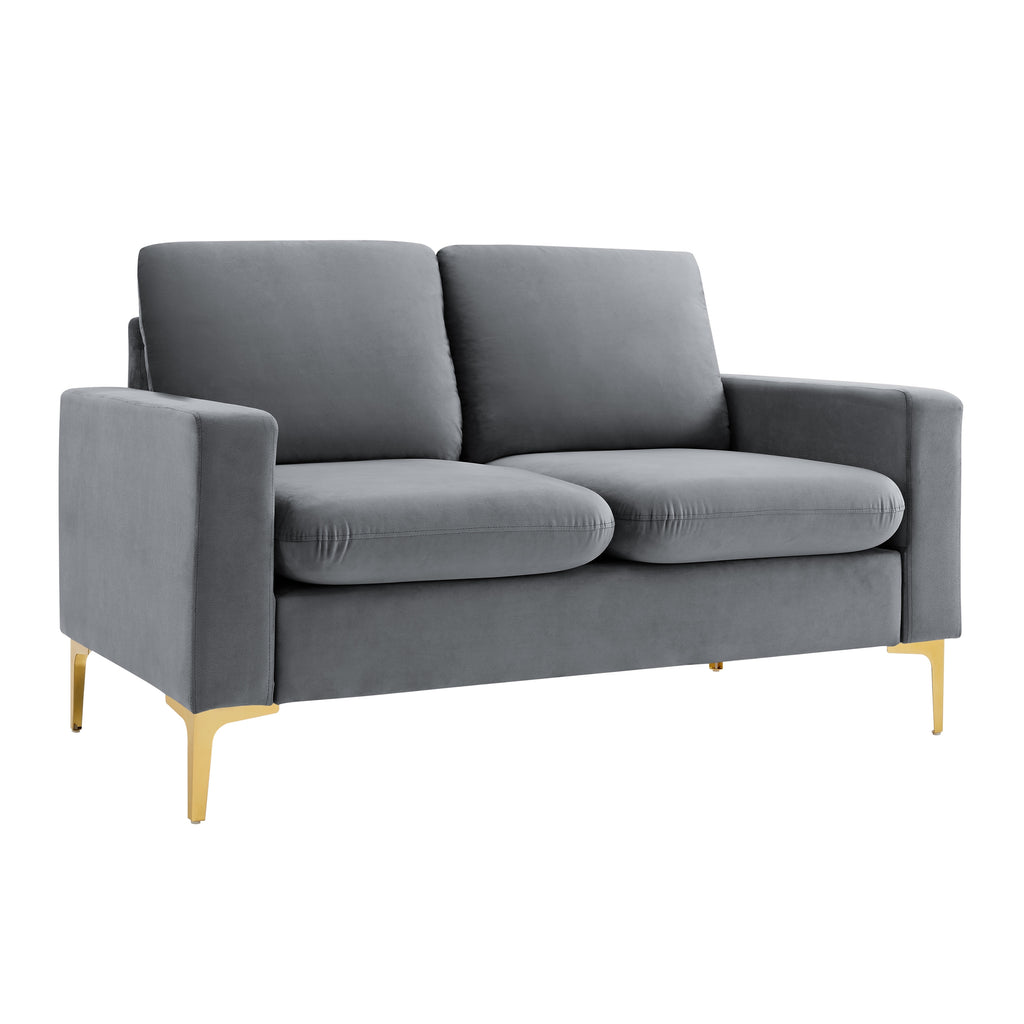 Grey Velvet Loveseat Sofa with Gold Metal Legs R28765