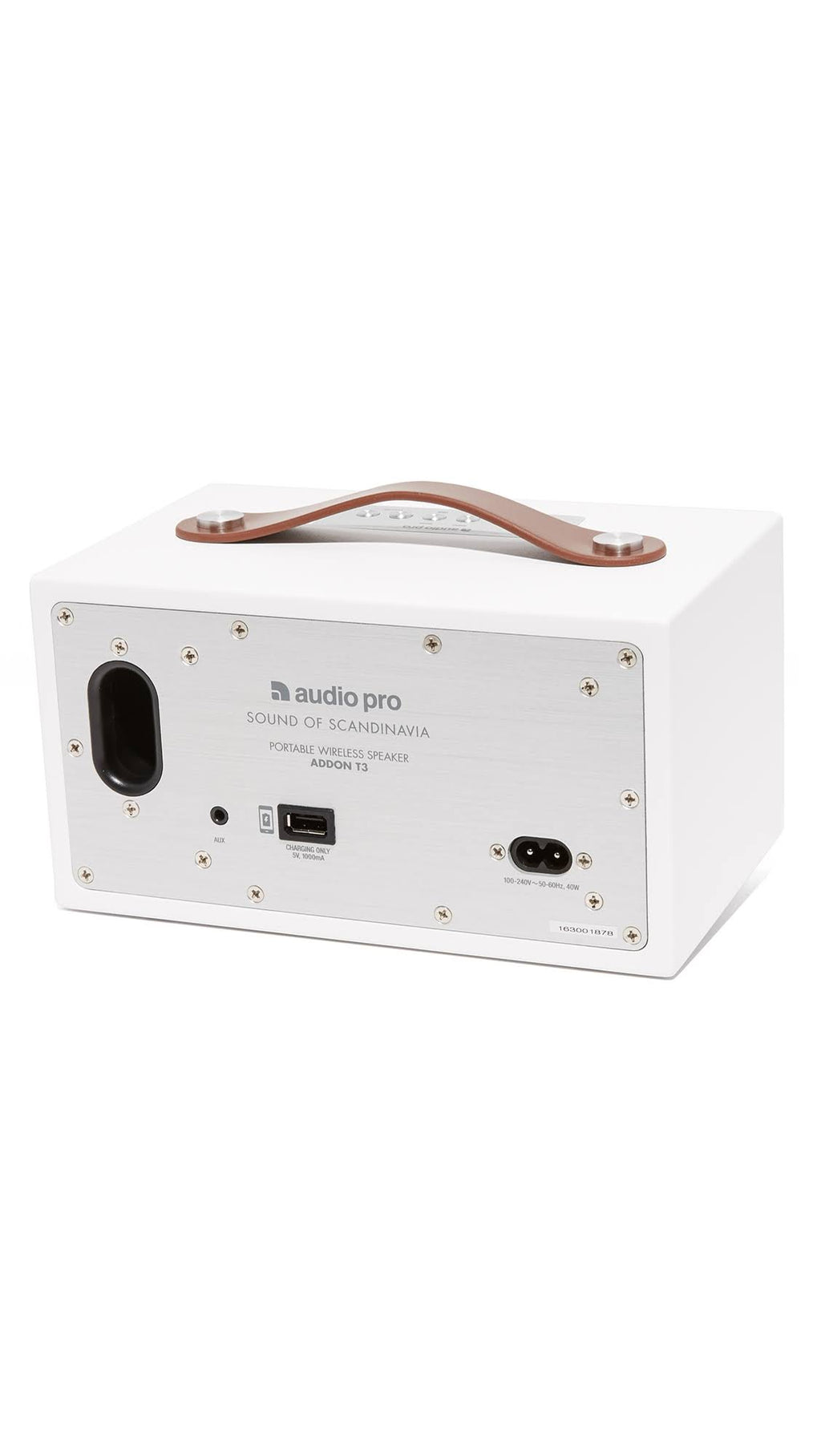 Portable Wireless Speaker S813