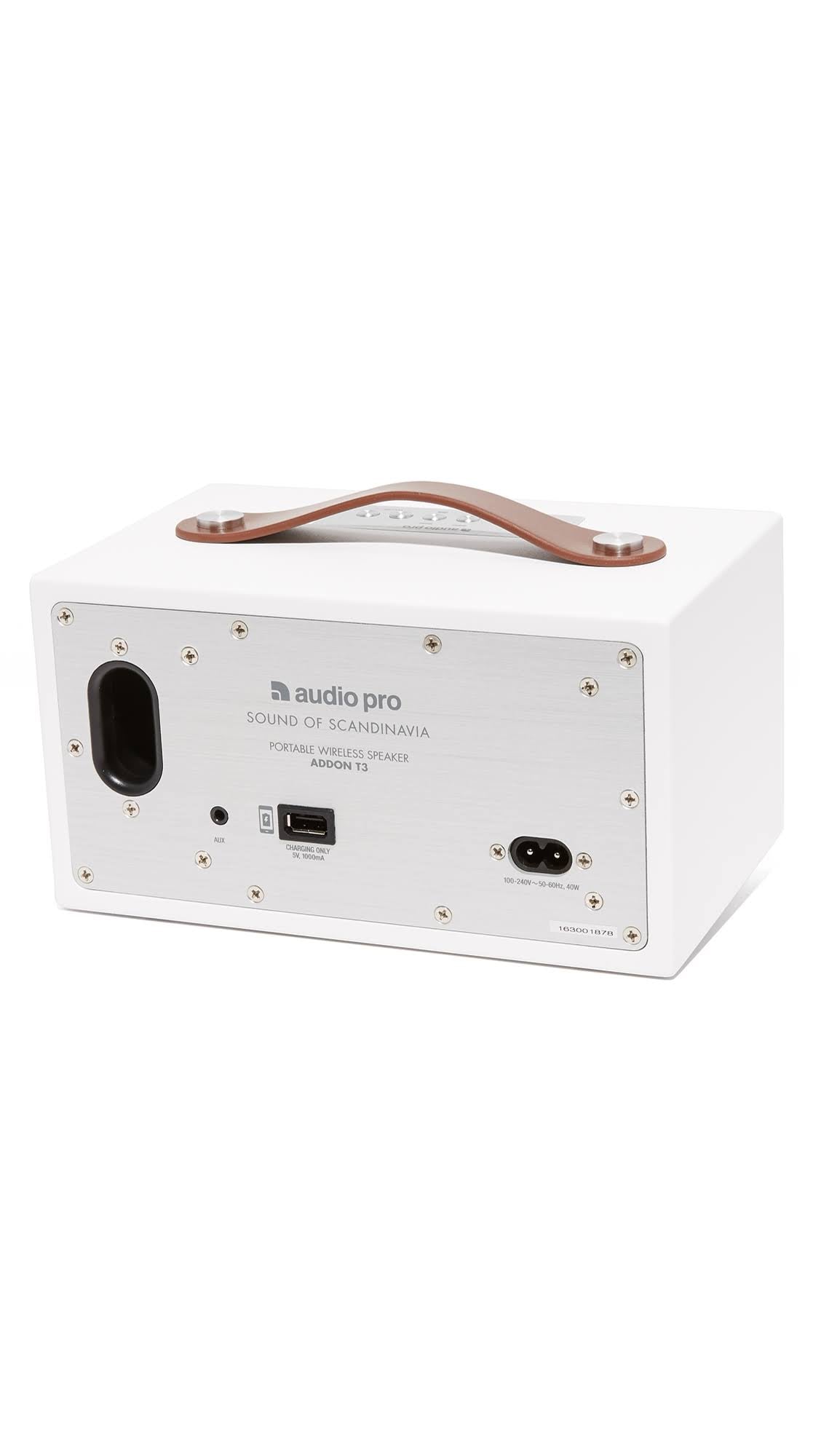Portable Wireless Speaker S813