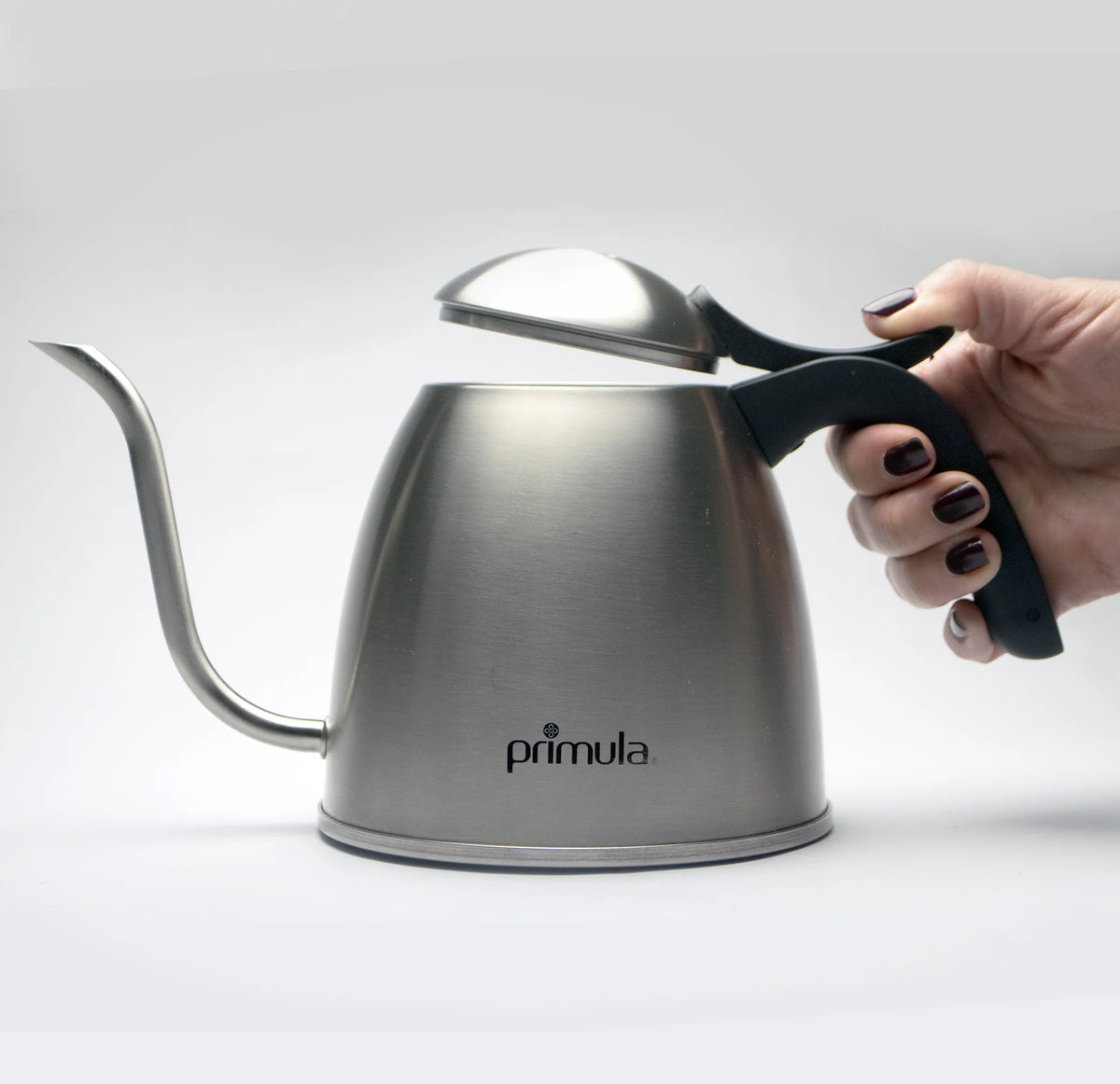Stainless Steel Gooseneck Pour Over Kettle Y603169