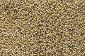Brewers Malt 2-Row 50 lb Sack R760