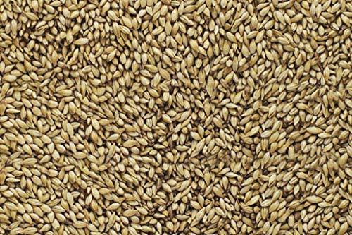 Brewers Malt 2-Row 50 lb Sack R760