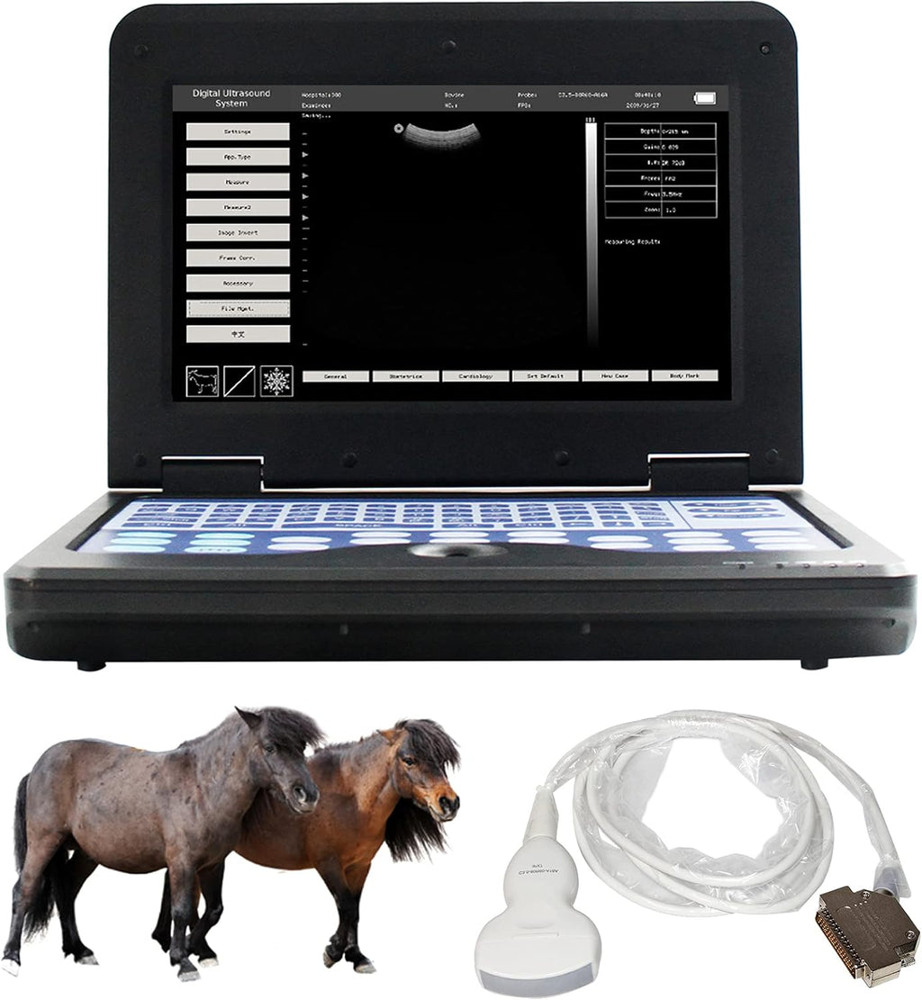 Veterinary Ultrasound Scanner with Convex and Rectal Linear Probe V8838