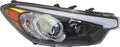 RH Halogen Headlight Assembly D2899