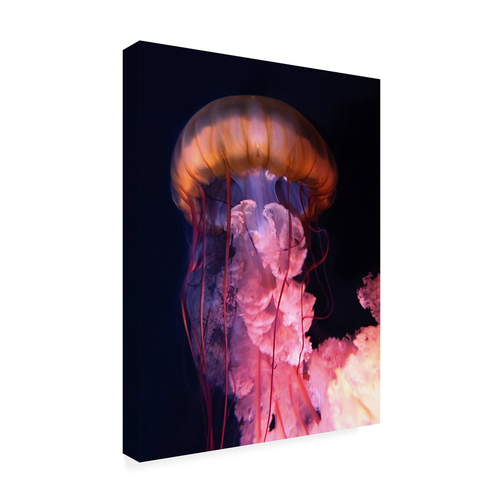 Canvas Art B98723