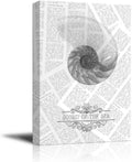 Canvas Print Semi-Transparent Sea Shell on Vintage Newspaper Background X728