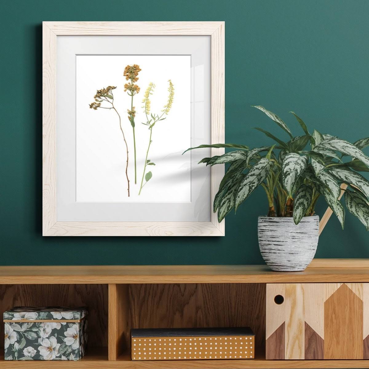 Walnut Framed Print B35164