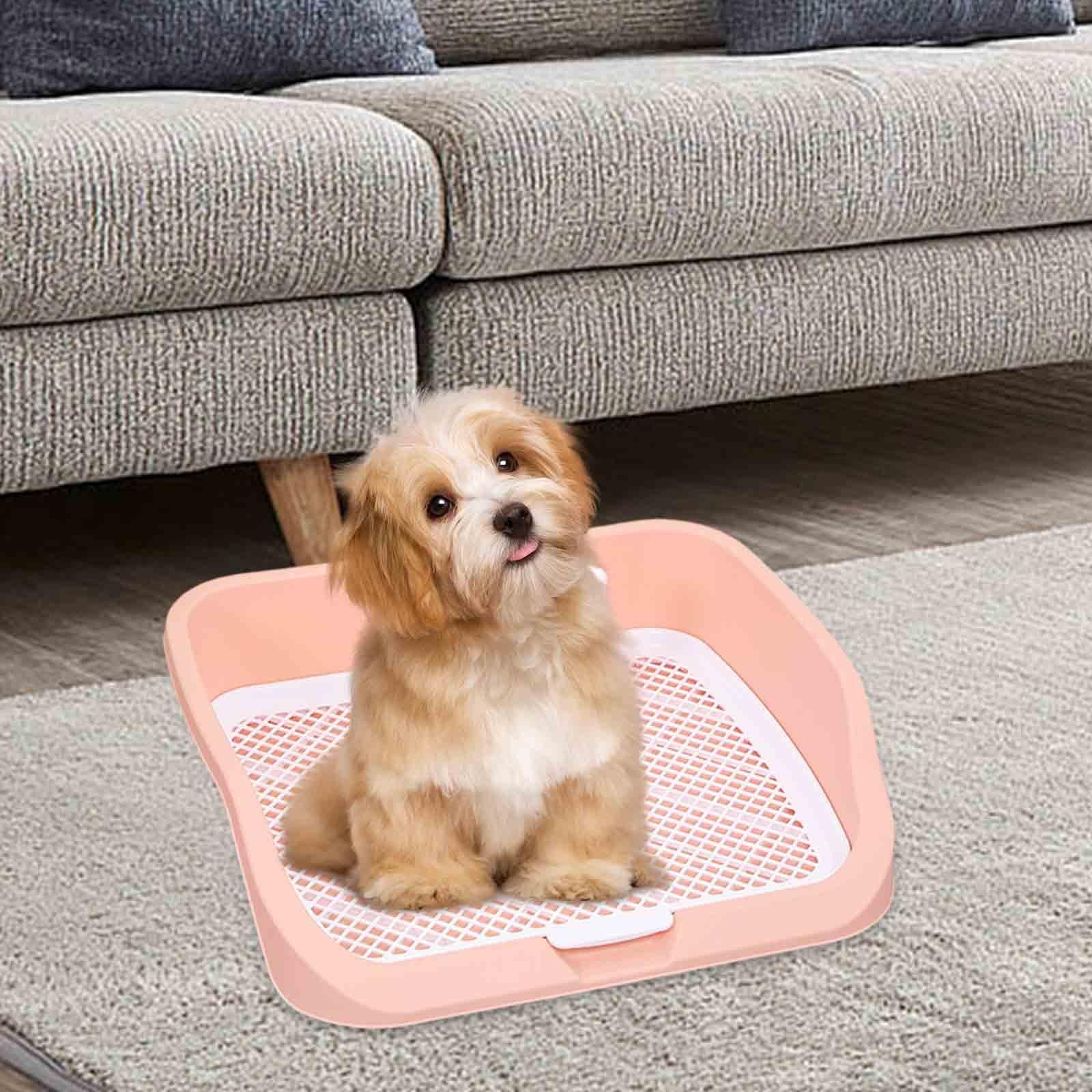 Pet Toilet Training Holder with Dog Potty Pad A35294