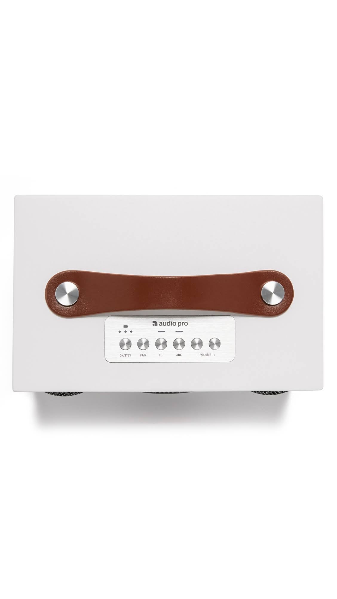 Portable Wireless Speaker S813