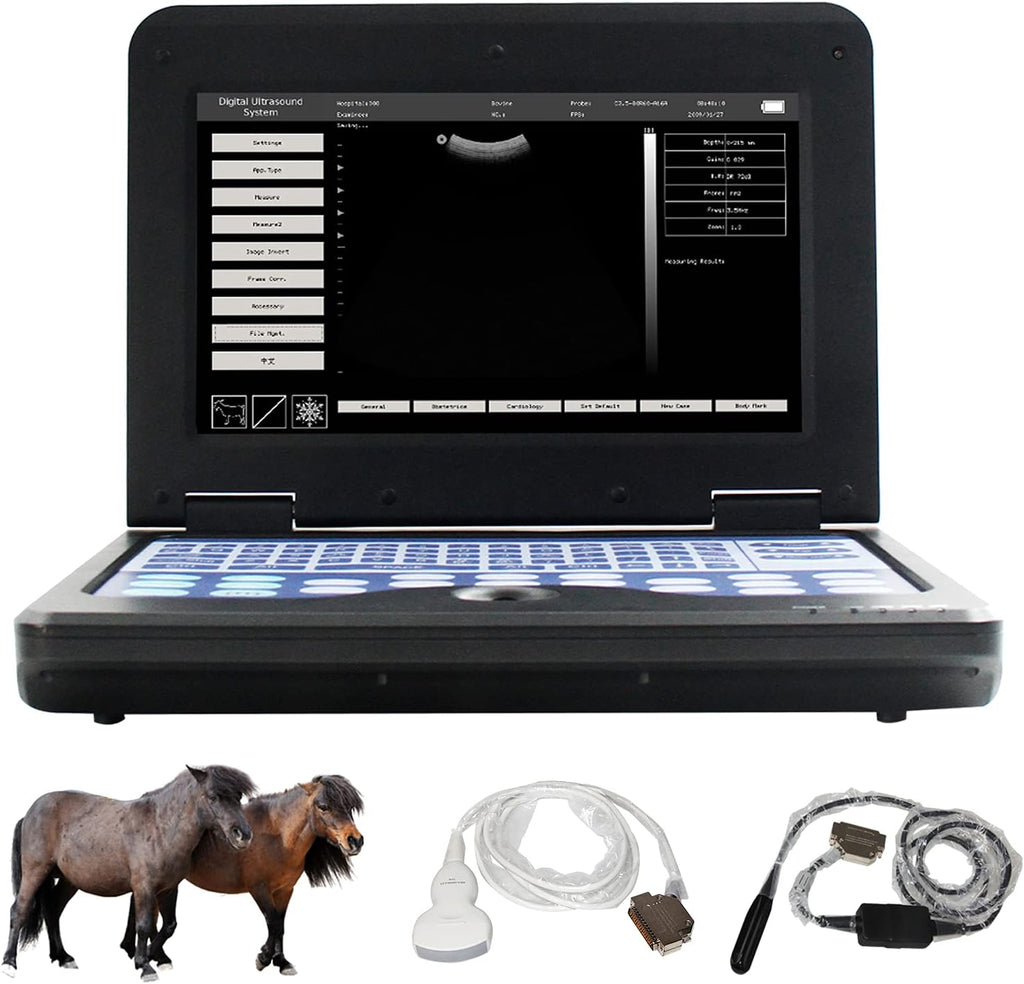 Veterinary Ultrasound Scanner with Convex and Rectal Linear Probe V8838
