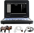Veterinary Ultrasound Scanner with Convex and Rectal Linear Probe V8838