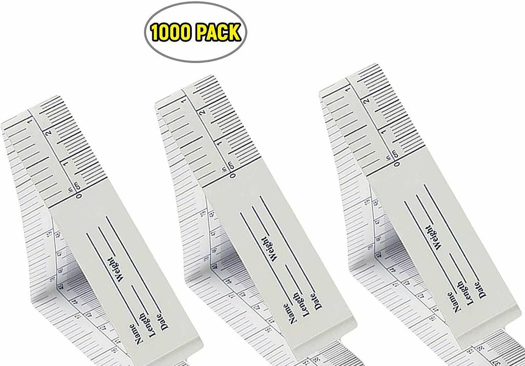 Paper Tape Measure English Scale M103580