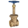 2-1/2x22 Threaded Rising Stem Bronze Gate Valve C85091