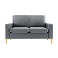 Grey Velvet Loveseat Sofa with Gold Metal Legs R28765