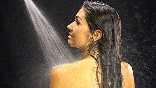 Nickel All Metal Shower Head with Trickle Valve Q669