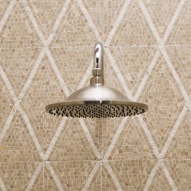 10x22 Rain Showerhead, Satin Nickel N6564