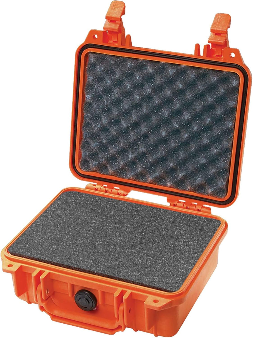 1200 Case With Foam Black Pack of 2 E2113
