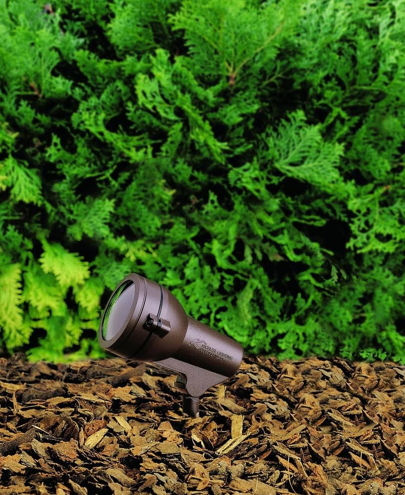 Textured Black Landscape Accent Light B601