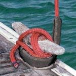 Black Removable Chafe Guard Pack of 2 Z3579