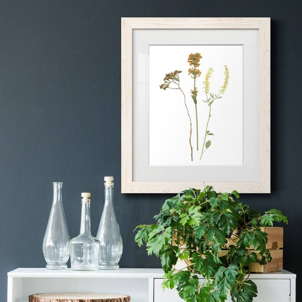 Walnut Framed Print B35164