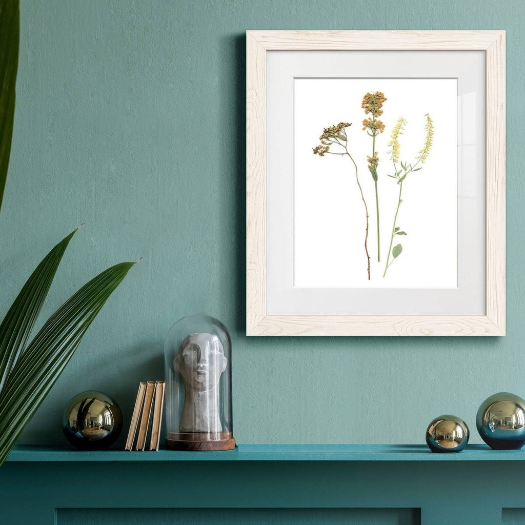Walnut Framed Print B35164