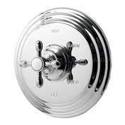 Balanced Pressure Shower Trim Z399